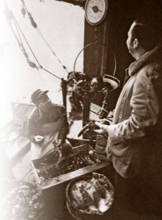 Delicium Custom Image