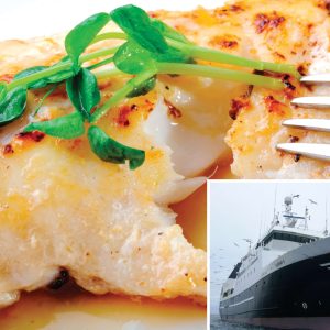 Fish – Frozen at Sea Cod & Haddock