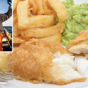 Fish – Hand Line Cod